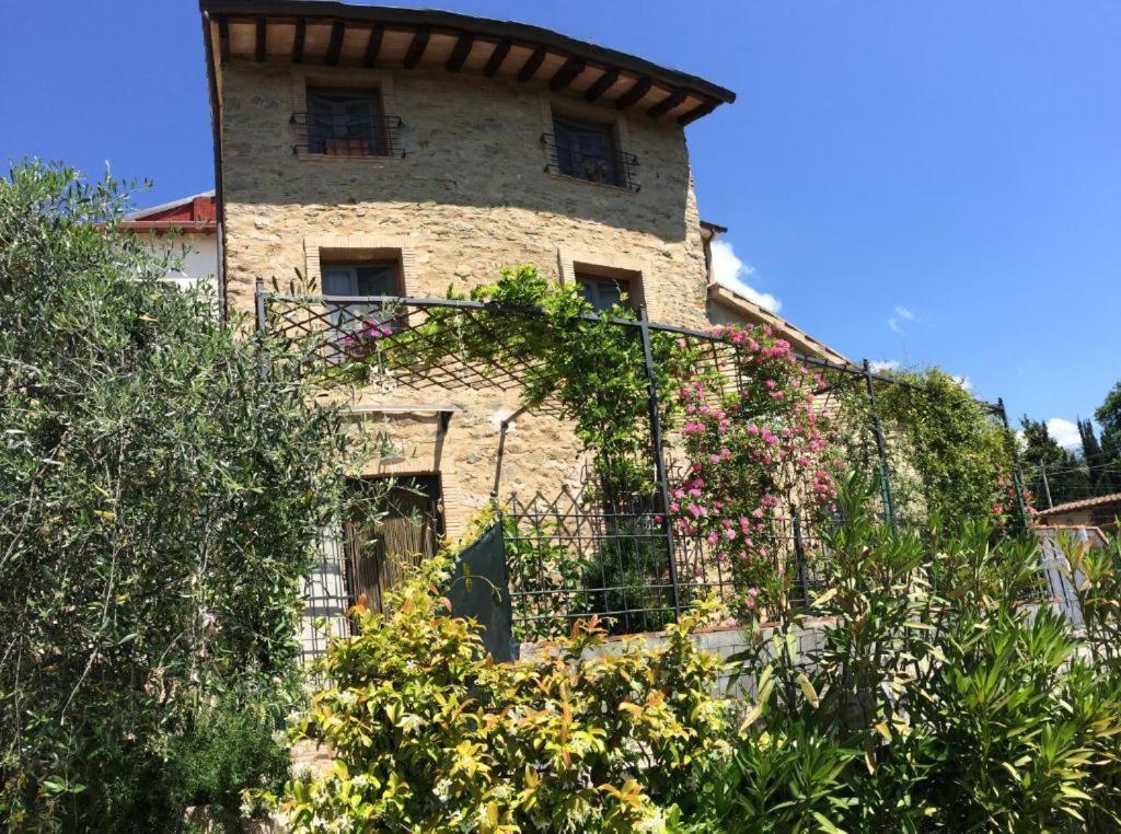 בית הארחה Corsanico-Bargecchia 	La Casina Delle Rondini מראה חיצוני תמונה